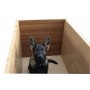LASSIE-DINO ALLWETTER - Caseta para perros de madera para el Exterior