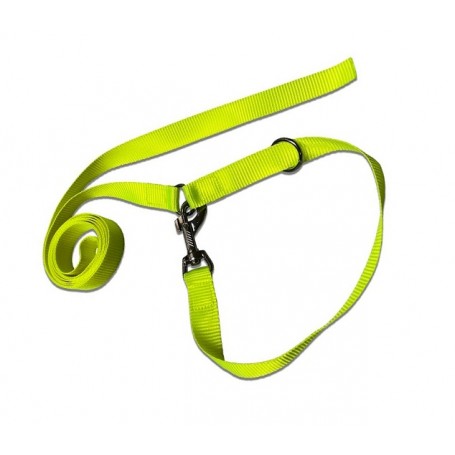 TEAMSPORT JOGI LEASH | Correa para entrenamiento