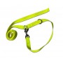 TEAMSPORT JOGI LEASH | Correa para entrenamiento