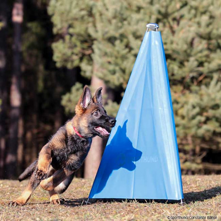 Mini revier perros malinois