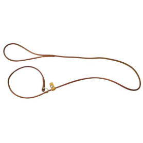 TRAINING | Correa de corrección de entrenamiento para perros de piel