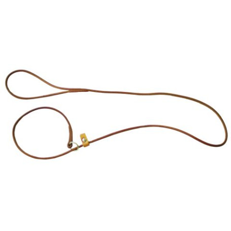 TRAINING | Correa de corrección de entrenamiento para perros de piel