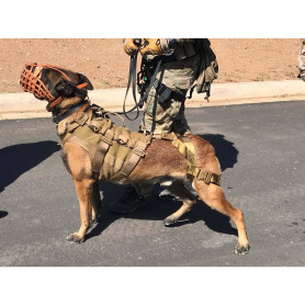 TACTICAL COYOTE - Chaleco Canino Modular para perros militares