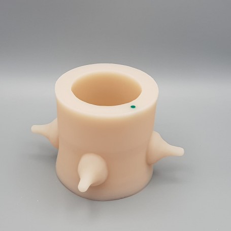 NOURRINOU-BIBI LARGE VERD | Biberón para Cachorros GRANDES con Multitetinas