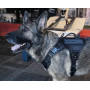 COP HARNESS - Arnés Táctico para perros K9