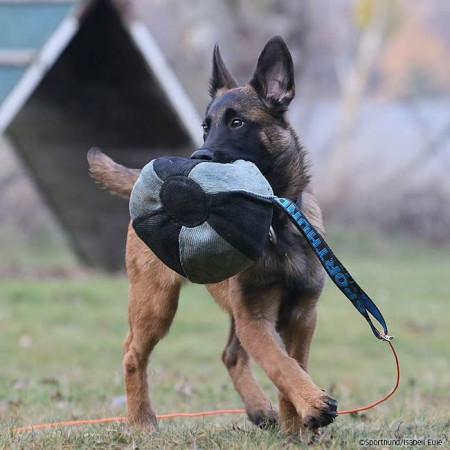 Pelota Tela Francesa con asa para perros 18cm