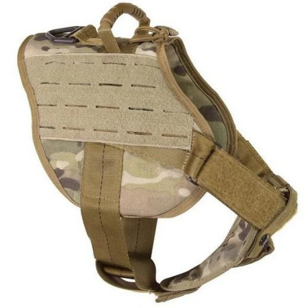 HARNESS SENTINEL color Multi-Cam