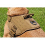 HARNESS SENTINEL color Coyote