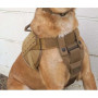 HARNESS SENTINEL color Coyote