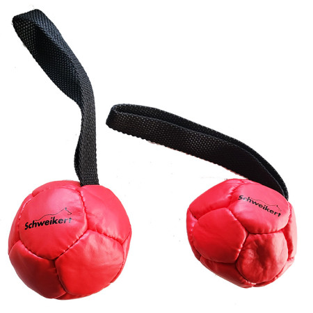 Pelota rellena de aire para perros de Piel 10cm Roja