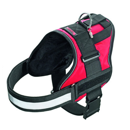 XTREME NO LIMIT | Arnés para perros