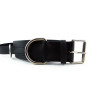 Biothane® HALSBAND | Collar Con asa para trabajo con perros de 50mm