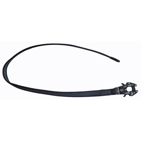 Correa Antideslizante para perro - Mosquetón Frog® SIN ASA