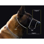 NEWPRO Dogart como coger medidas