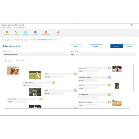 Árbol del Animal GC Pro