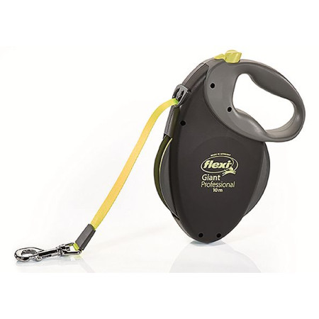 639271 FLEXI GIANT Professional 10m