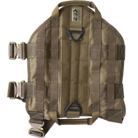 999672 - Arena Coyote