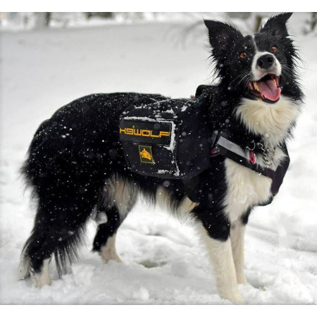 Pack de alforjas laterales para perros K9® Evolution