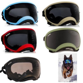 REX SPECS Galasturhunde