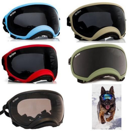 REX SPECS Galasturhunde
