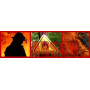 SOKKS® Fire | Acelerador de Incendios