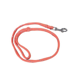 400481Multi Cuerda Naranja Neón Reflect perros