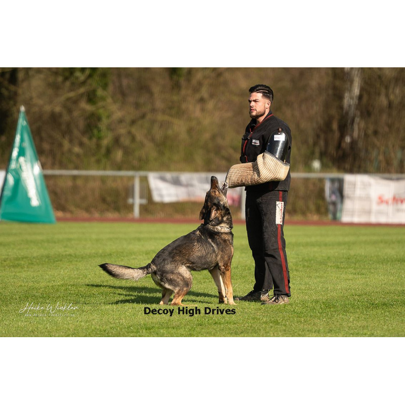 perro de trabajo K9 entrenamiento profesional Galasturhunde
