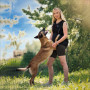 IQ-dogsport-Sommer-vest-3.0.jpg