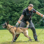 florian-knabl-IQ-dogsport-vest-3.0.jpg