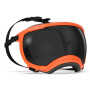 REX SPECS V2 | Gafas de protección para perros NARANJA
