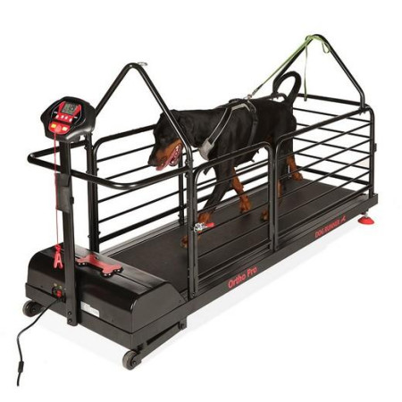 Dog Runner Ortho Pro - Cinta de correr profesional para perros