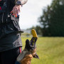 Bolsillo magnético para recompensa oculta IQ Dogsport