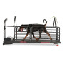 Ortho pro cinta de correr con perro trabajando