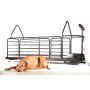 Ortho pro cinta de correr grande para perros