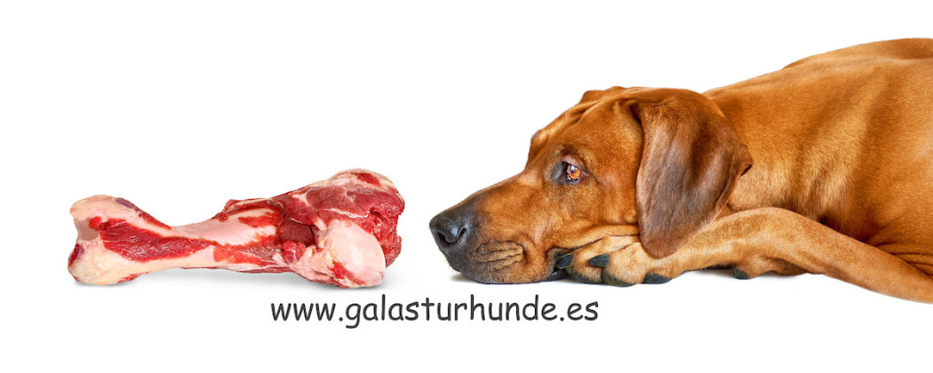 Alimentos naturales para Perros y Cachorros | Galasturhunde