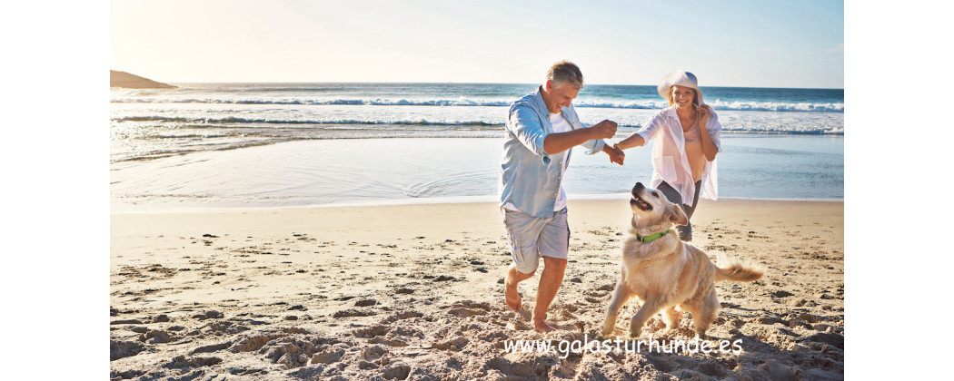 Alimento Natural Perros Adultos | Galasturhunde