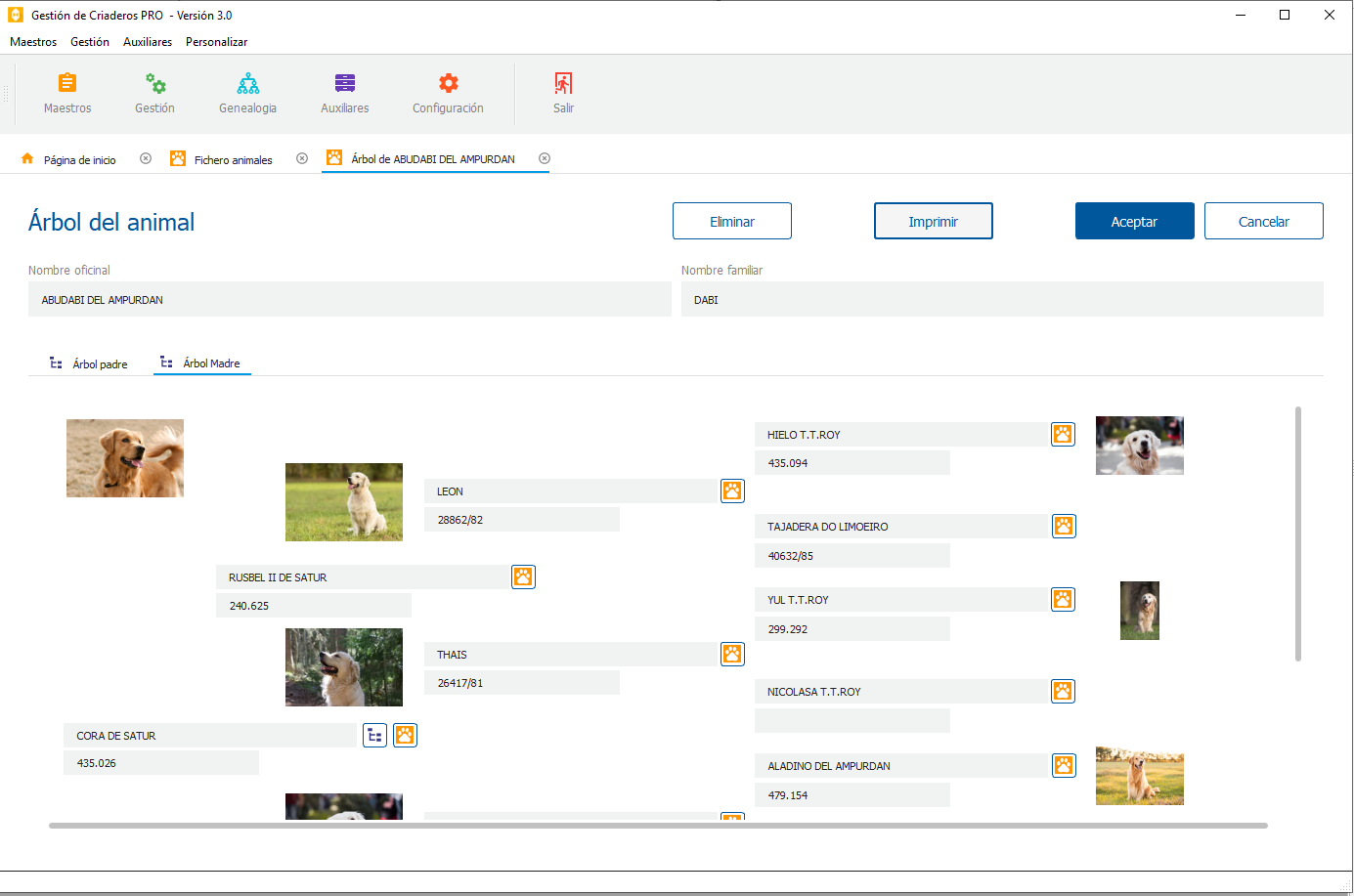 Arboles genealógicos GC Pro