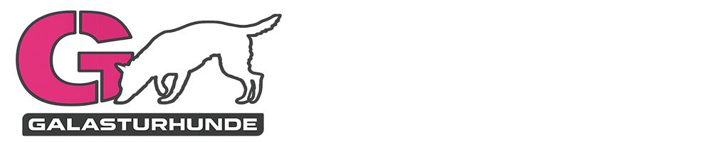 Galasturhunde