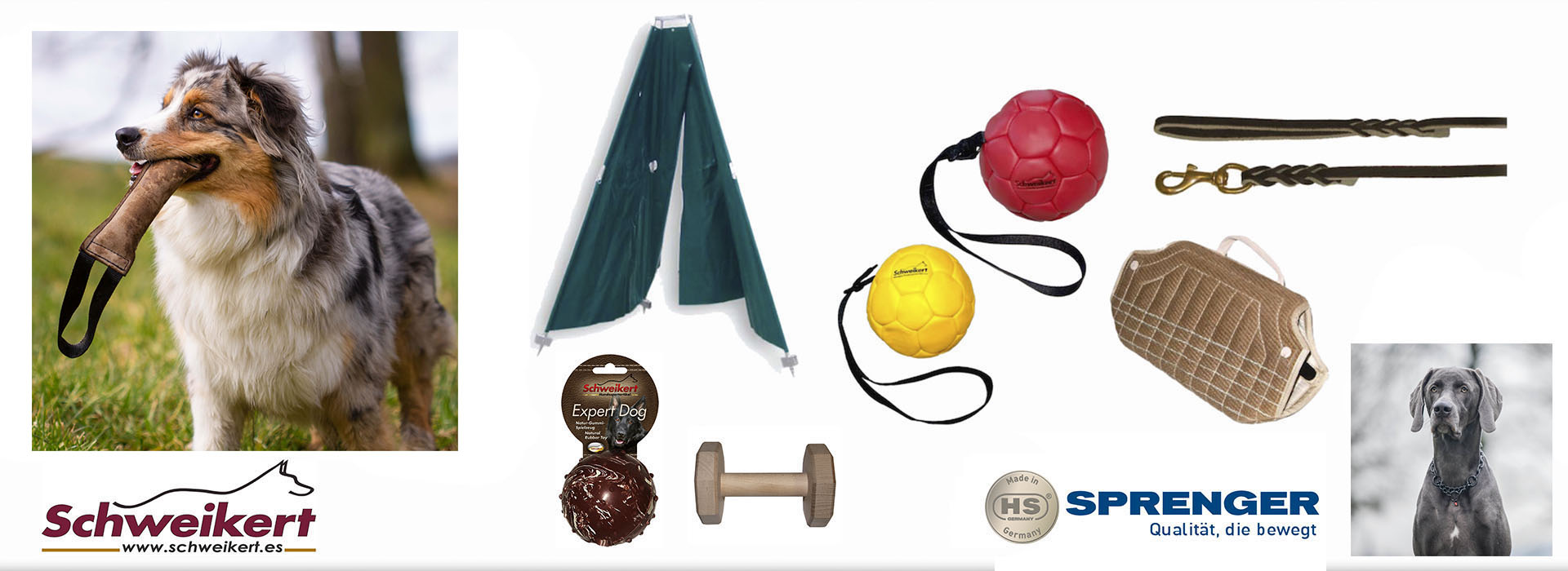 Accesorios para perros